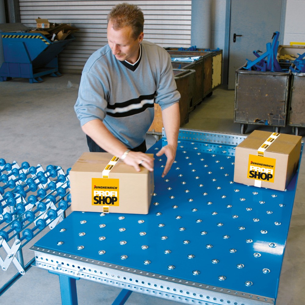 Zdjęcie produktu nr 2: Stół kulkowo-rolkowy, Ø 22 mm, dł. x szer. 500 x 500 mm, podziałka 125 mm